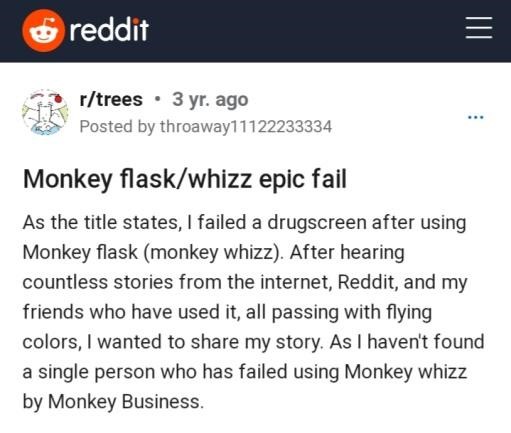 Monkey Flask Review 4